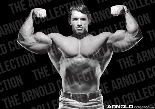 Double Bicep logo watermarked