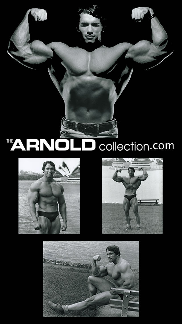 arnold wallpaper iphone