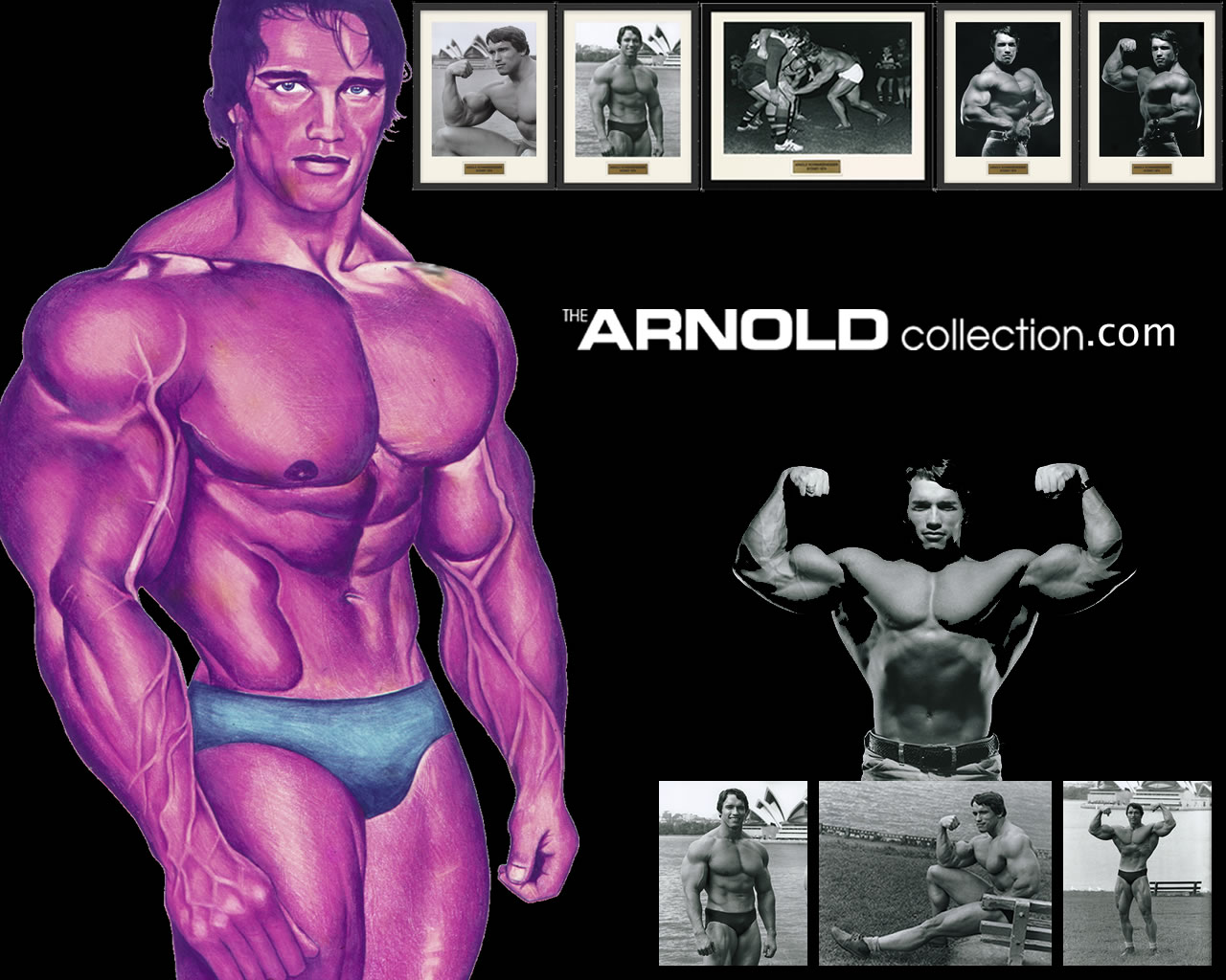 arnold wallpaper iphone