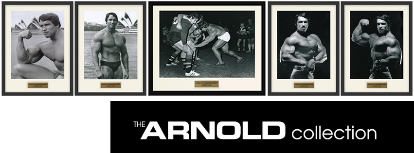 Arnold Schwarzenegger Collection Timeline cover photo