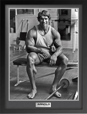 arnold schwarzenegger body 2009