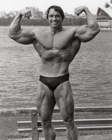 Arnold Schwarzenegger